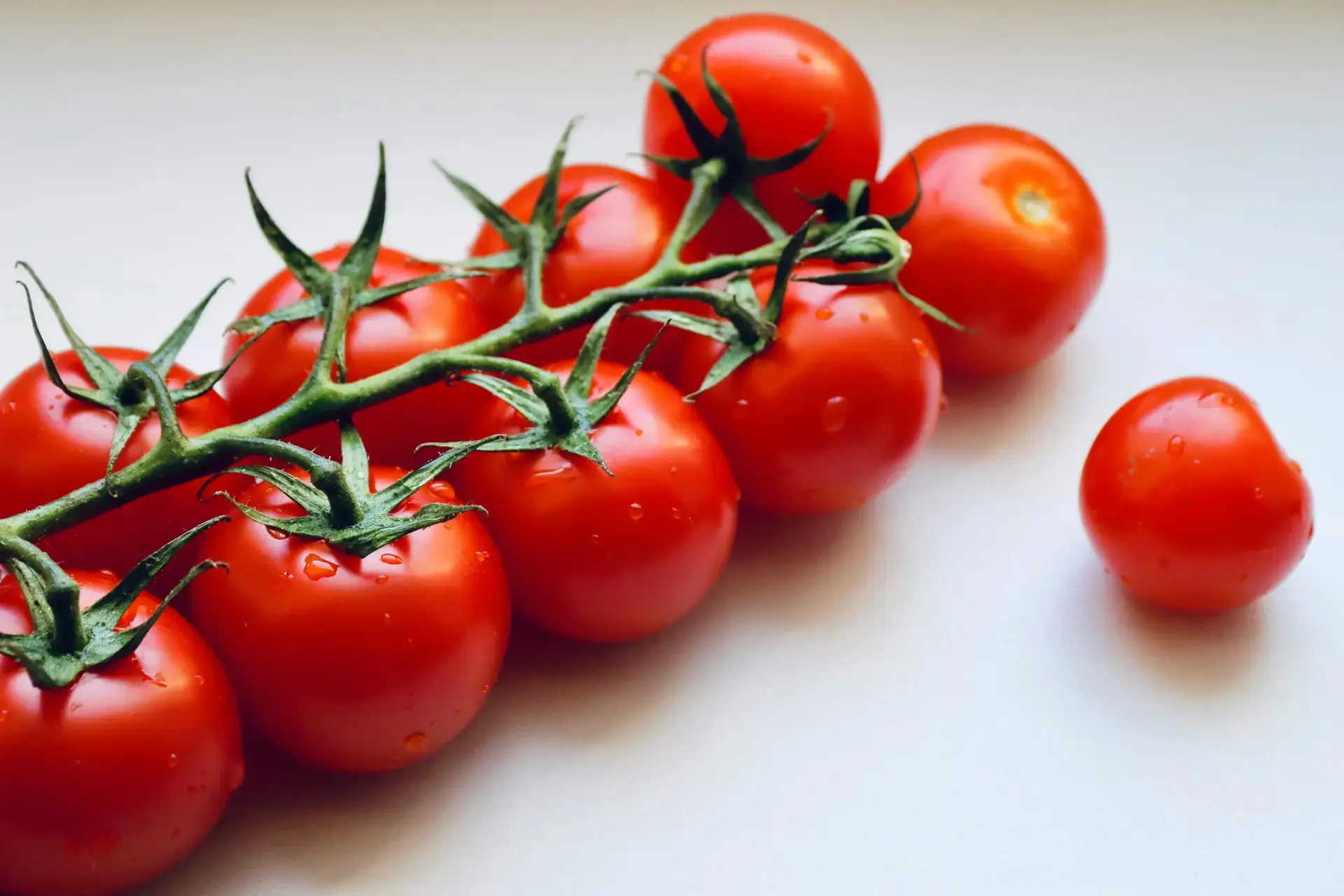 Tomatoes