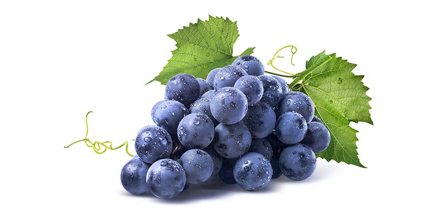 Fruits