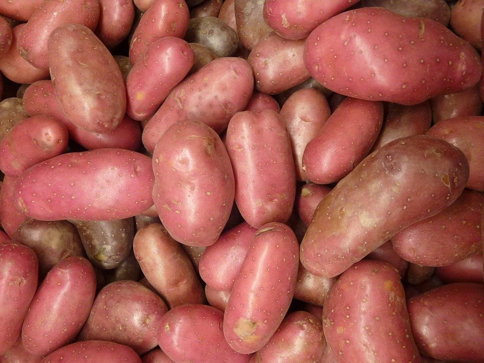 Vegetables
