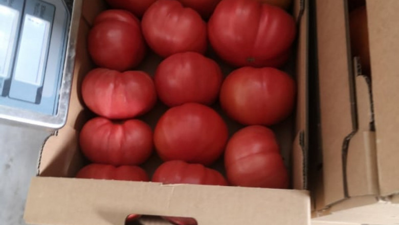 Vegetables