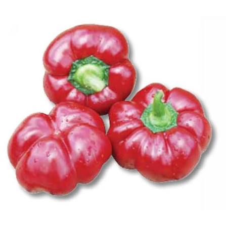Bell Peppers