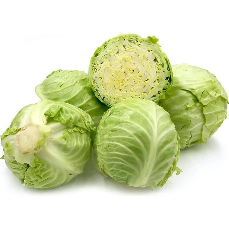 Green Cabbage