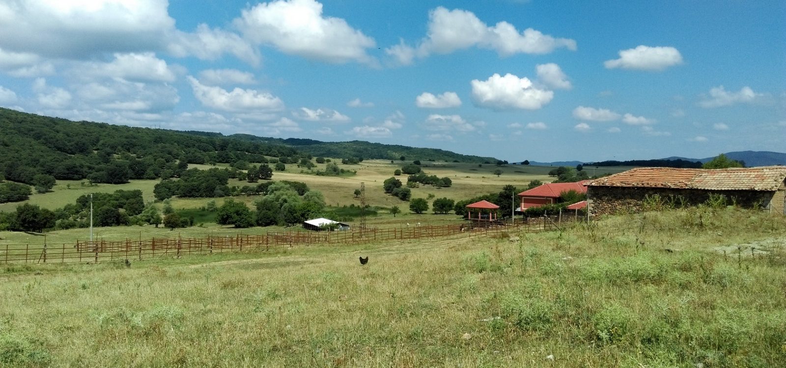 My farm Plovdiv